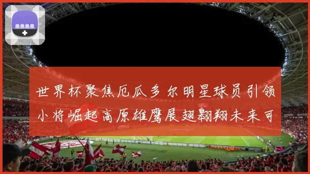 世界杯聚焦厄瓜多尔明星球员引领小将崛起高原雄鹰展翅翱翔未来可期